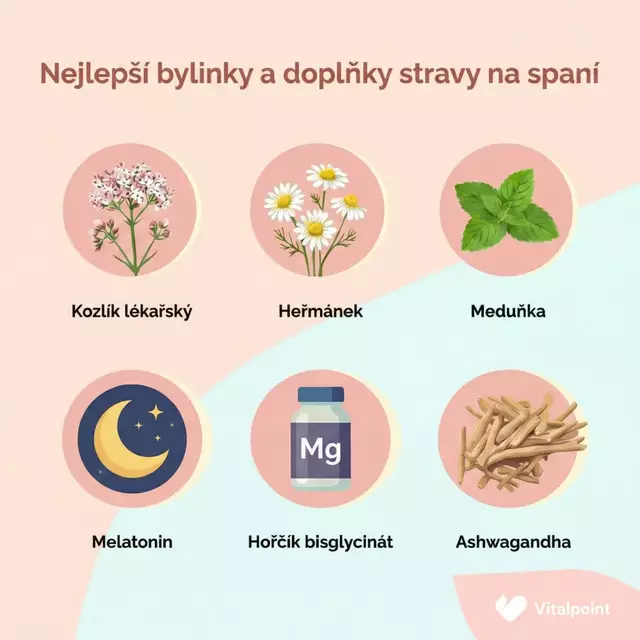 Obrázek 4, zdroj vitalpoint.cz